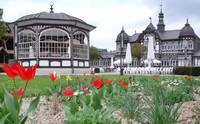 gradiergarten_mit_tulpen.jpg ( © Stadtverwaltung Bad Salzungen)